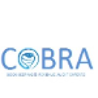 Cobra Bookkeeping & Training Services