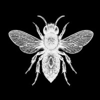The Hive logo - Similar company to Civicbridges