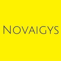 Novaigys logo - Similar company to Forward Partners