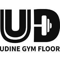 Qingdao Udine Rubber Plastic Co.,Ltd logo - Similar company to Ashmita Enterprises