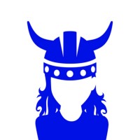 Blue Viking Media