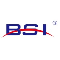 BSI UK logo - Similar company to Bsi Canada