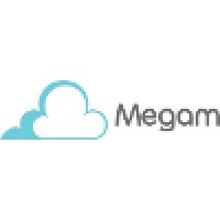 Megam Systems logo - Similar company to Attune