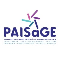 PAISaGE - Plateforme d'Accessibilité et d'Intelligence en données de Santé du GCS GGEST logo - Similar company to A Kid Called Beast