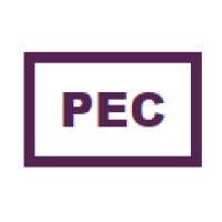 PEC - Priority ERP Consultants logo - Similar company to Pec Laser