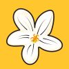 MAGHEALTH logo - Similar company to Pinky Fly Pcos
