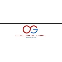 Odilia Global logo - Similar company to Nsb Bpo Solutions Privatelimited.