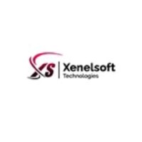 XenelSoft Technologies Pvt Ltd logo - Similar company to Mlrs Business Process Solutions Llp