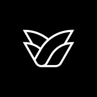 Napa logo - Similar company to District