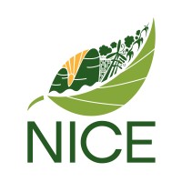Negrosanon Initiative for Climate and the Environment logo - Similar company to Living Laudato Si'