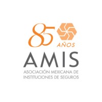 AMIS logo - Similar company to Colegio Nacional De Actuarios, A.C.
