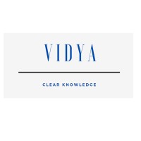 Vidya Bv