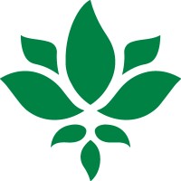 LYS consultoria logo - Similar company to Lys Consulting Service