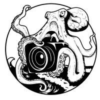 Innovation FilmWorks logo - Similar company to Coffeebean Pictures