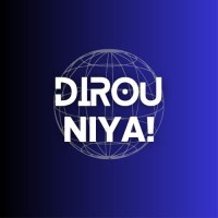 Dirou Niya logo - Similar company to Digitale Held