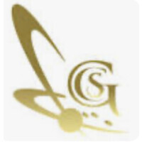 Goldrush Business Services logo - Similar company to Pardeep Kumar & Associates