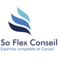 SO FLEX CONSEIL logo - Similar company to Flex-Conseil
