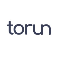 Torun logo - Similar company to Sofipe Soluções