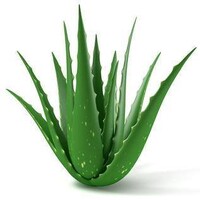 DRINKAloeVera logo - Similar company to Namhost