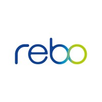 REBO Lighting & Electronics GmbH logo - Similar company to Fischer Electronic Solutions Gmbh