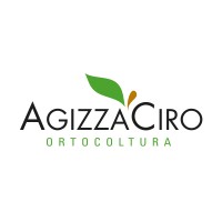 Agizza Ciro logo - Similar company to Mhl Srl