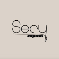 Secy Media logo - Similar company to Vdx