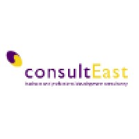 ConsultEast logo - Similar company to Hampton Digital Services Ltd