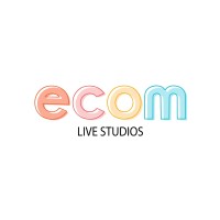 ecom Studios logo - Similar company to Left Hand Math