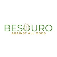 Besouro Trading logo - Similar company to Calculus