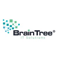 BrainTree IT Solutions GmbH logo - Similar company to Brain Tree
