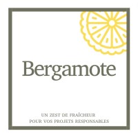 Bergamote logo - Similar company to Agence Gw | Labellisée Nr