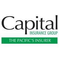 Capital Insurance Group Limited logo - Similar company to Robust&Rapid System Ltd
