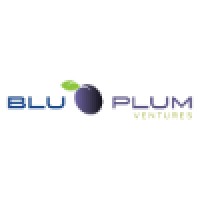BluPlum Ventures, LLC logo - Similar company to L Consulting & Coaching