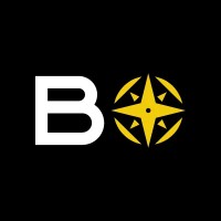 BORONDONIA logo - Similar company to Intelqualia, Investigación De Mercados & Estudios De Prestigio