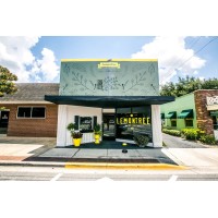 LemonTree Realty logo - Similar company to In Depth Realty