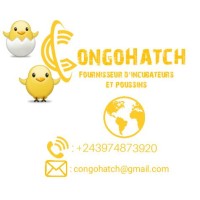 CongoHatch logo - Similar company to Kivu Engineering Solution (Kes)