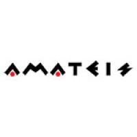 Amateis logo - Similar company to Arpin 1817