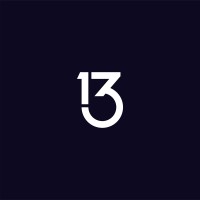 13 Pixels logo - Similar company to Savari