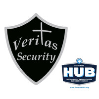 Veritas Security LLC logo - Similar company to First In Security Llc