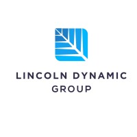 Lincoln Dynamic Group logo - Similar company to Mako Advanced Materials