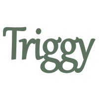 Triggy Inc logo - Similar company to Logidispatch Llc