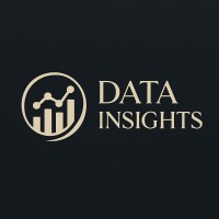 Data Insights logo - Similar company to Rocky Analytics