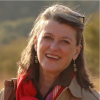 Patricia Glyn Storycatcher logo - Similar company to Infinite