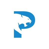 Painther Construction logo - Similar company to Sidesearch
