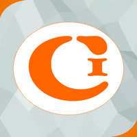 Convertex India Pvt Ltd logo - Similar company to Connvertex® Technologies