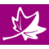 White Maple Consulting Ltd