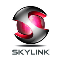 SKYLINK AUTO PTE LTD logo - Similar company to Spiked Ltd