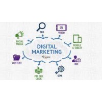 Digital marketing agencies in Mumbai logo - Similar company to Digital Consociate