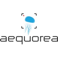 AEQUOREA Tecnologia & Meio Ambiente logo - Similar company to Hadiscom Tecnologia