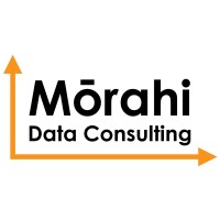Mōrahi Data Consulting